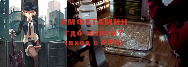 хмурый Алексин