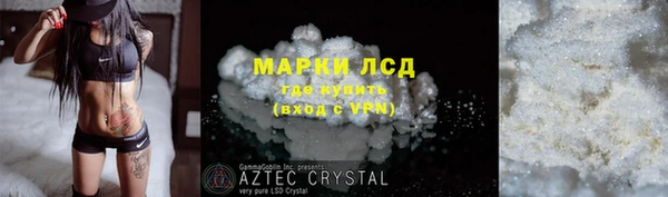 хмурый Алексин