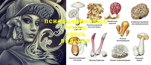 амф Аркадак