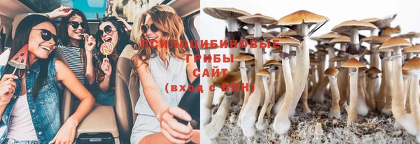 каннабис Арсеньев