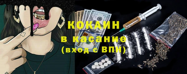хмурый Алексин